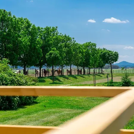 Horse Glamping Park Hotel Cirkovce Exterior photo