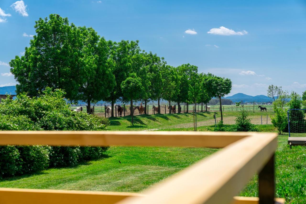 Campsite Horse Glamping Park